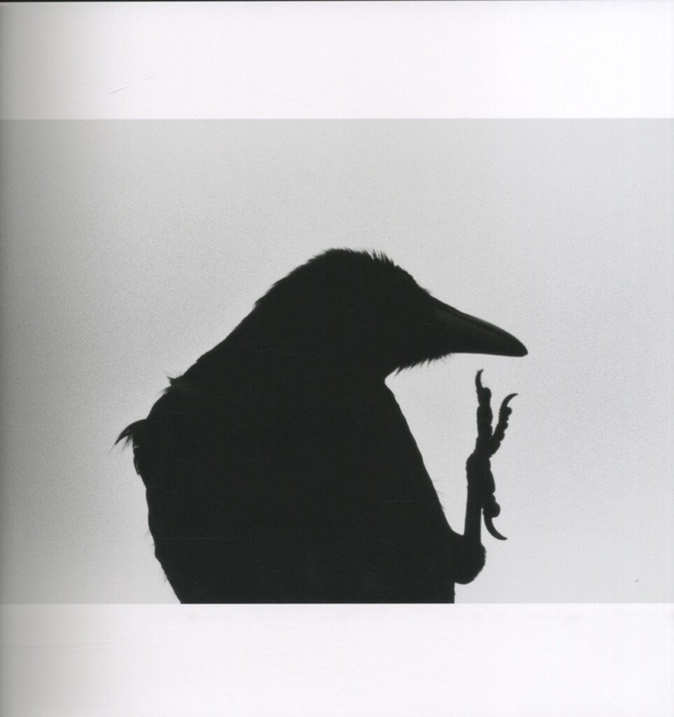 深瀬昌久 鴉 Ravens 最も安い 鴉 / RAVENS：深瀬昌久 | OIL - 現代