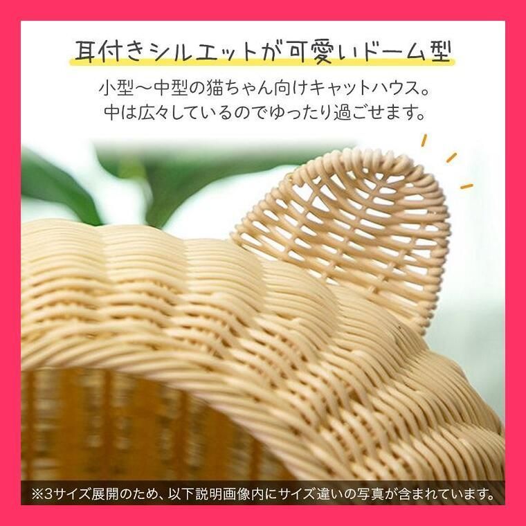 ネコ 小型犬