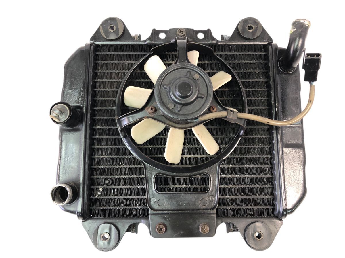 Kawasaki ZZR250 EX250H ラジエーター ガード ファン付 作動OK 曲がり漏れ無し 交換 補修にも 2755-M5925