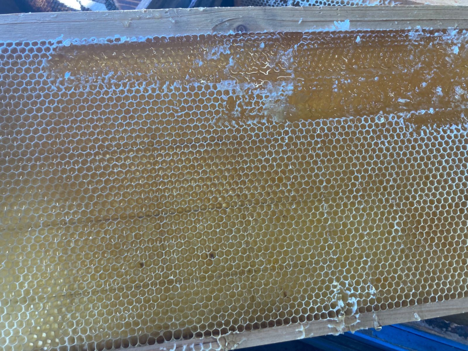 蜂蜜