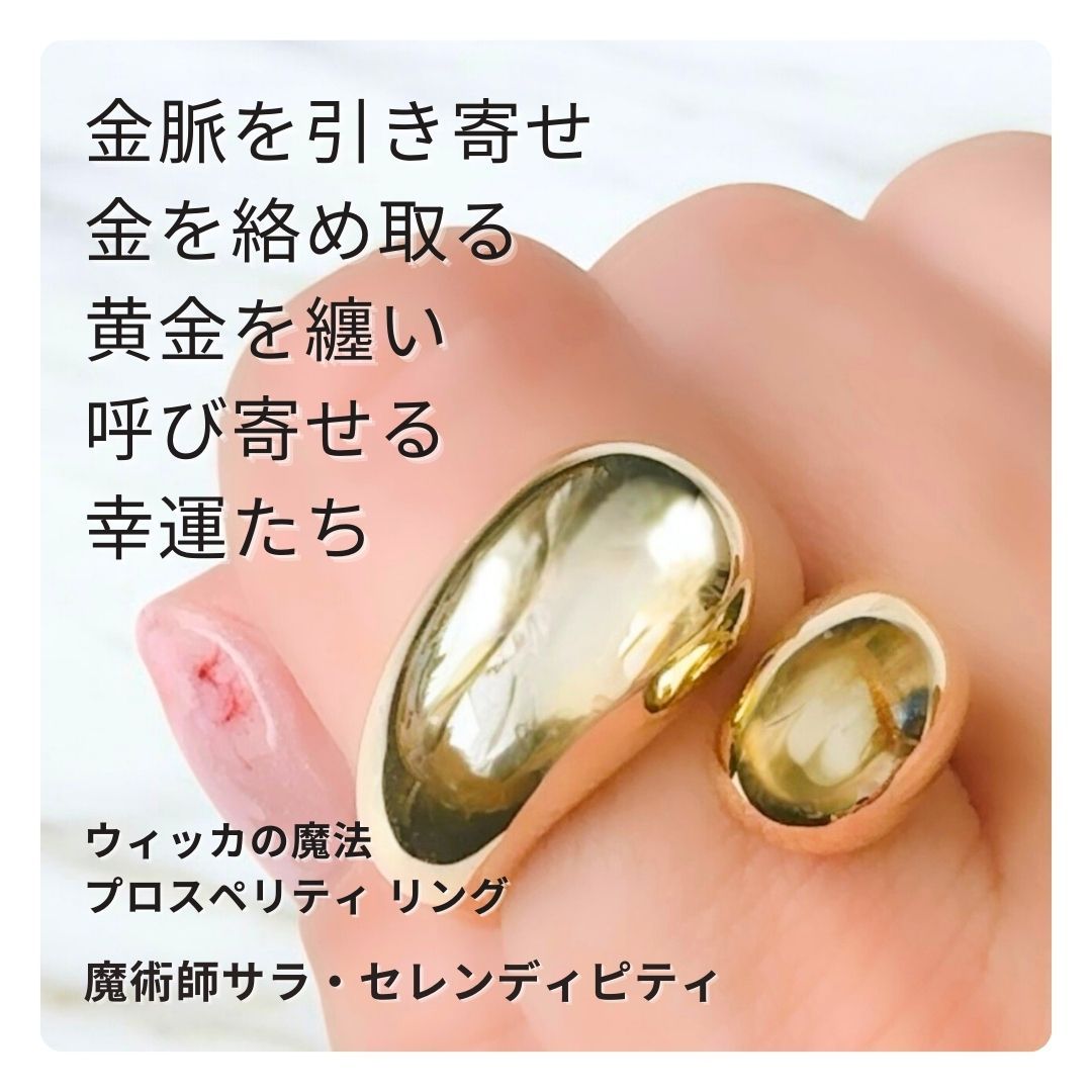 老天珠 ニ龍眼天珠 老鉱天珠 蒙天珠 天珠 九眼天珠&三眼天珠 老鉱天珠