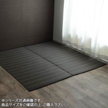 【新品・2営業日で発送】イケヒコ 洗える PPカーペット アウトドア ペット ブラウン 江戸間10畳（約435×352cm）