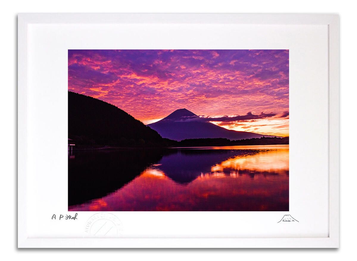 幻の酒】北の勝 搾りたて1800ml 2025年1月発売 日本酒  北の勝 搾り