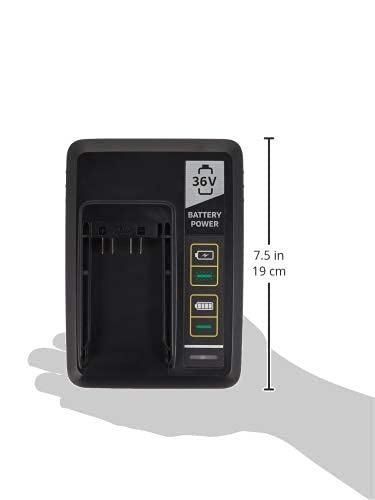 36V