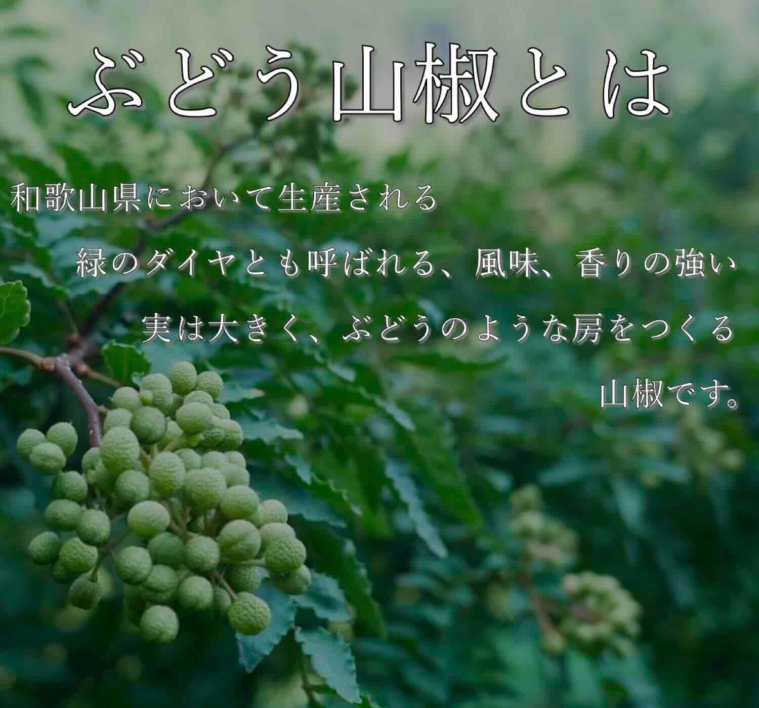 ５００ｇ 青山椒