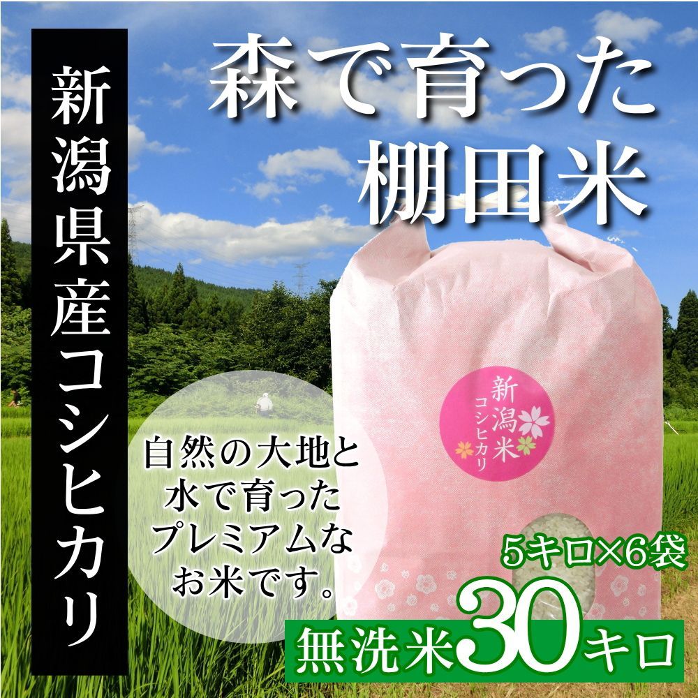 無洗米　新潟産こしひかり　産地直送　新米　新潟米コシヒカリ　ご自宅、ご家庭、お弁当にも　お祝い、ギフト、贈答に　30kg（5kg×6袋）　メルカリShops