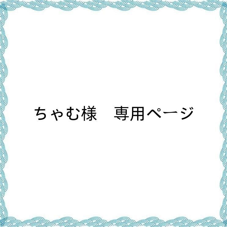 ちゃむ様 専用 ボロかっ