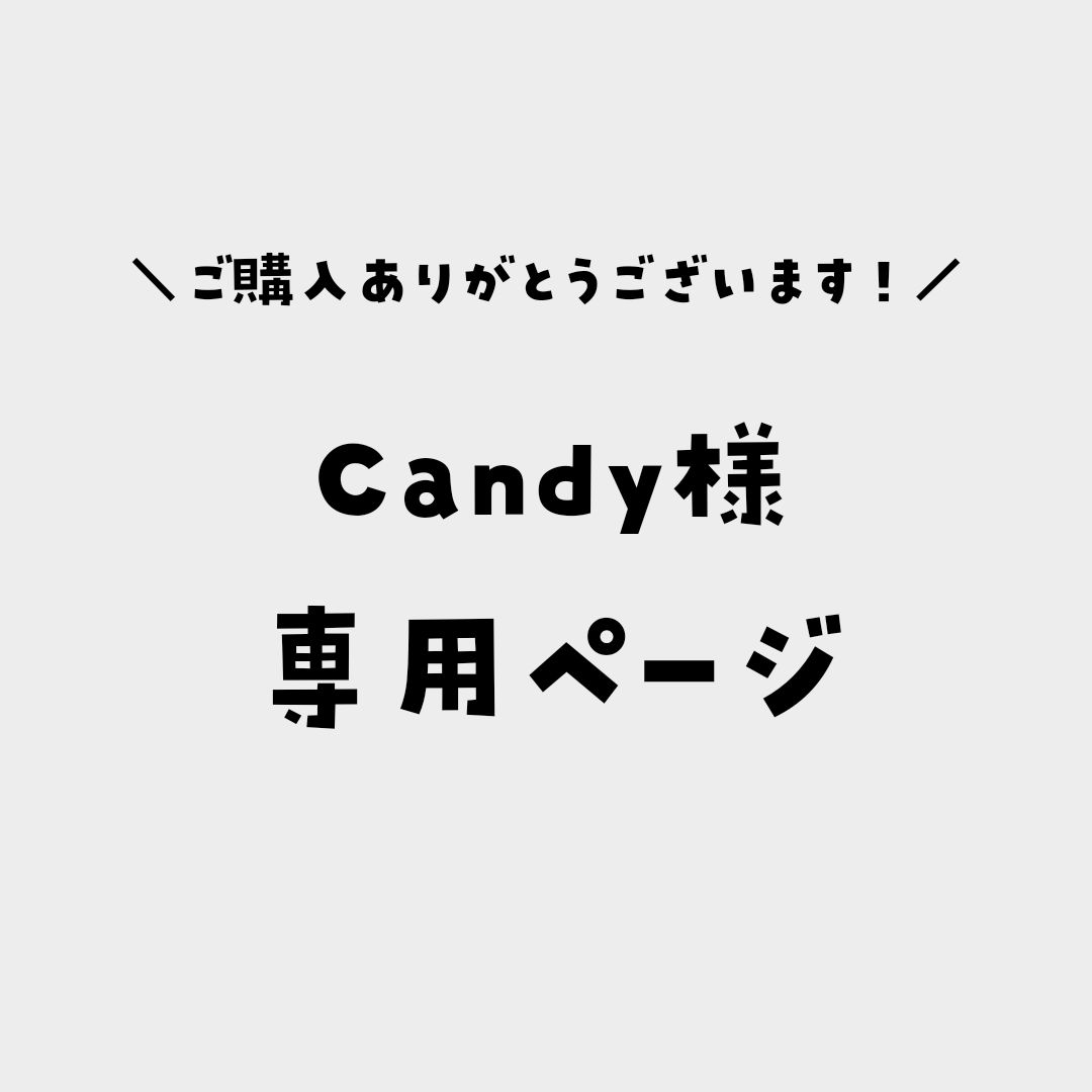 Candy様専用ページ - メルカリ