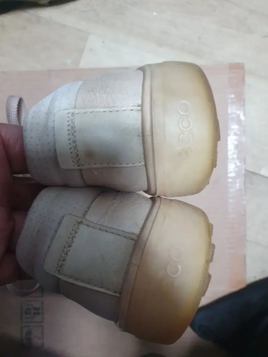 ウィメンズエコー ゴルフシューズ 235 アイボリー LLC-HASEGAWATOSO_COM