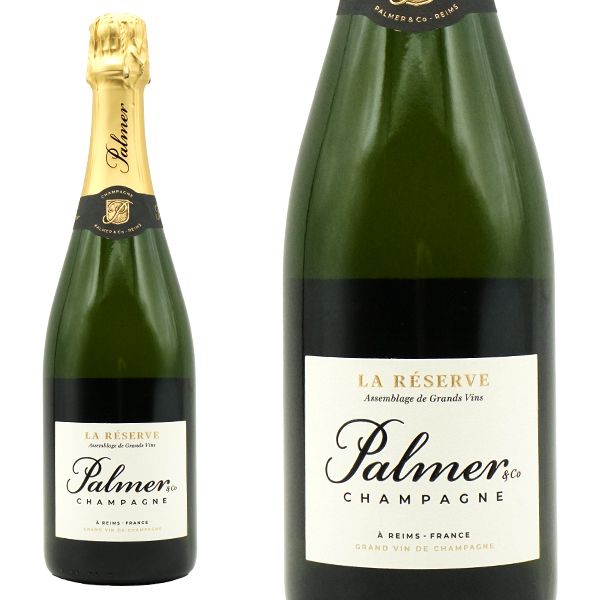 エンジェル シャンパン ヘイロー オレンジ 263 エンジェル シャンパン