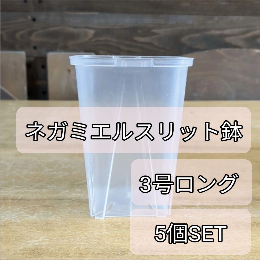 透明スリット鉢（ ネガミエル ）【 3号ロング × 5個SET