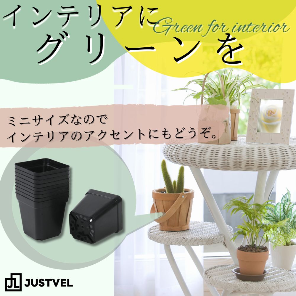 ②オーズプランツさん苗4点セット札付きポットごとメルカリ便バラ売り