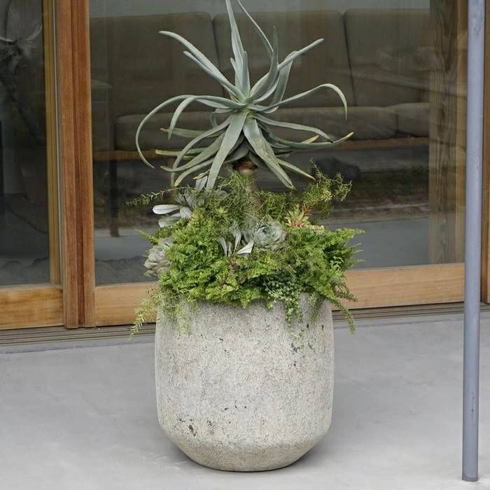 DOMANI ドマーニ KOHALA TKOP25 / 鉢カバー 鉢 Domaniドマーニ 鉢