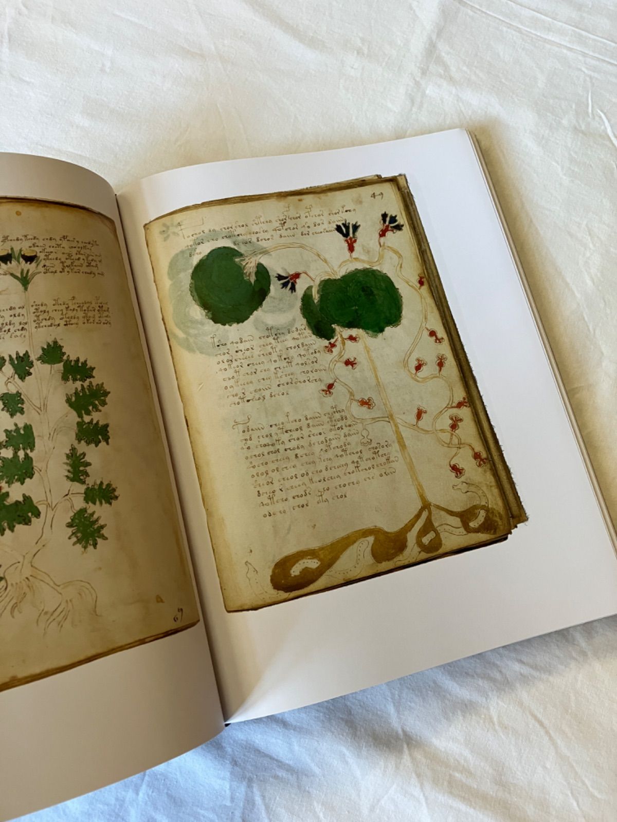 ヴォイニッチ手稿 ファクシミリ版 the voynich manuscript - メルカリ