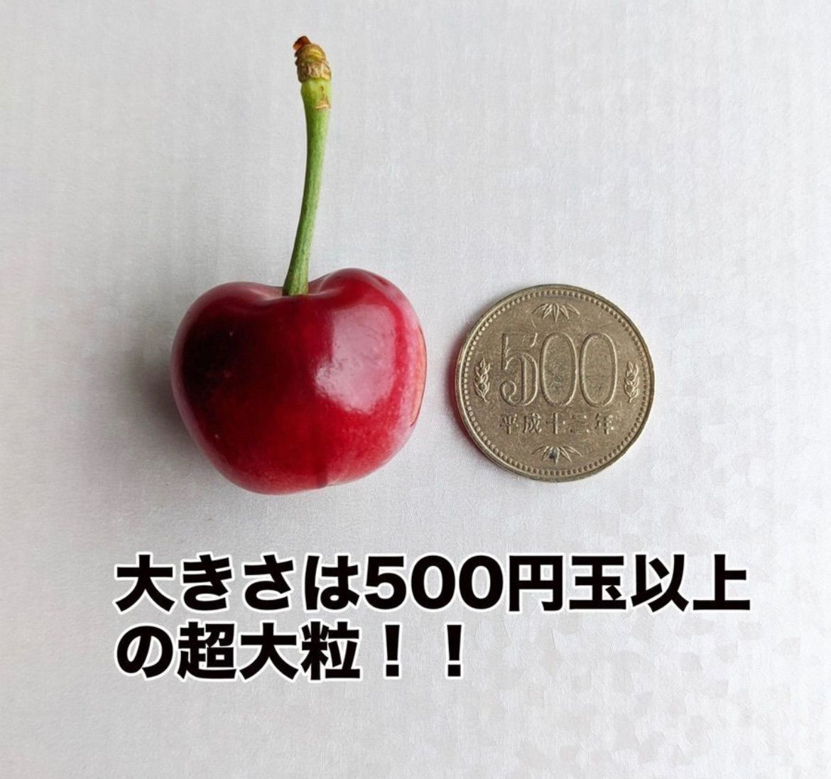 ❸『フォロワー様3万人突破記念』クール便❣️新商品❣️手渡し❣️激安❣️9.5R超大粒アメリカンチェリー2kg 大容量　父の日　中元　訳あり　家庭用　100円引きクーポン配布中❣️