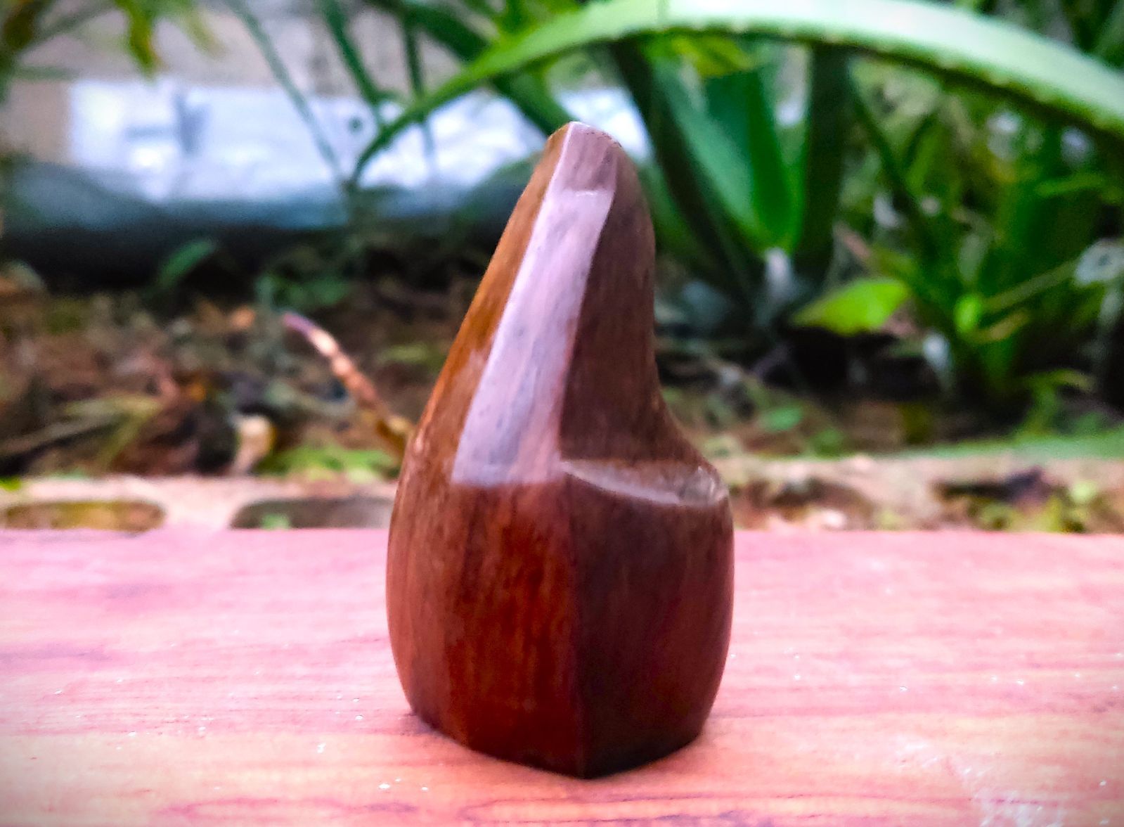 【クーバチ】【モンゾ】【反り型】三線ツメ（バチ）【沖縄県産】241229