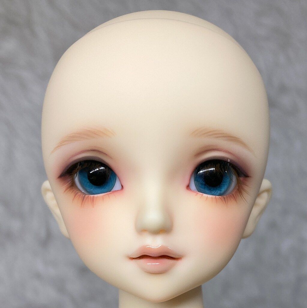 コーディネートモデル