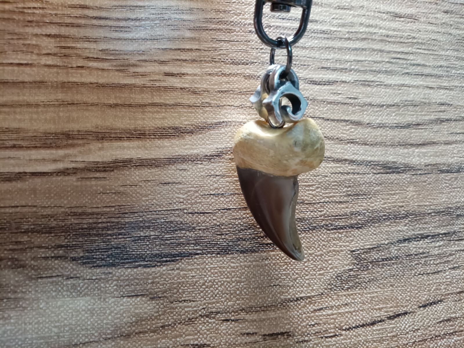 青森県魔除けとも言われる本物の熊の爪 　フックピアス 青森県魔除けとも言われる本物の熊の爪 フックピアス Amazon |