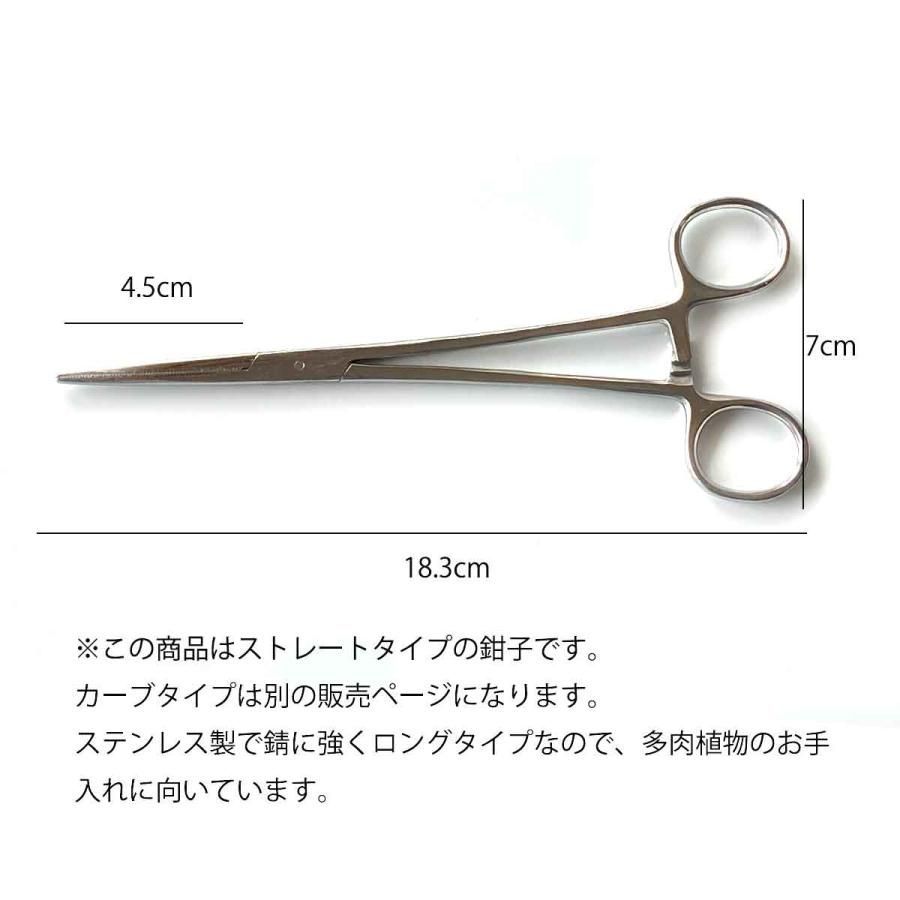 フライヤー フォーセップ ストレート プライヤー イカ 墨 多肉植物 枯葉取り