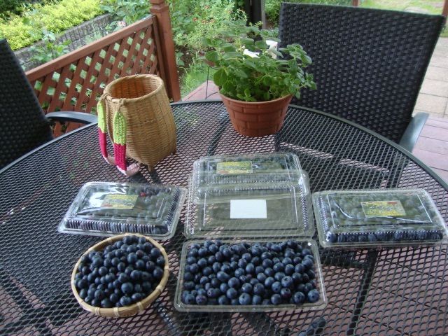 安心安全。ブルーベリー3キログラム、朝摘み、午後発送 - メルカリ