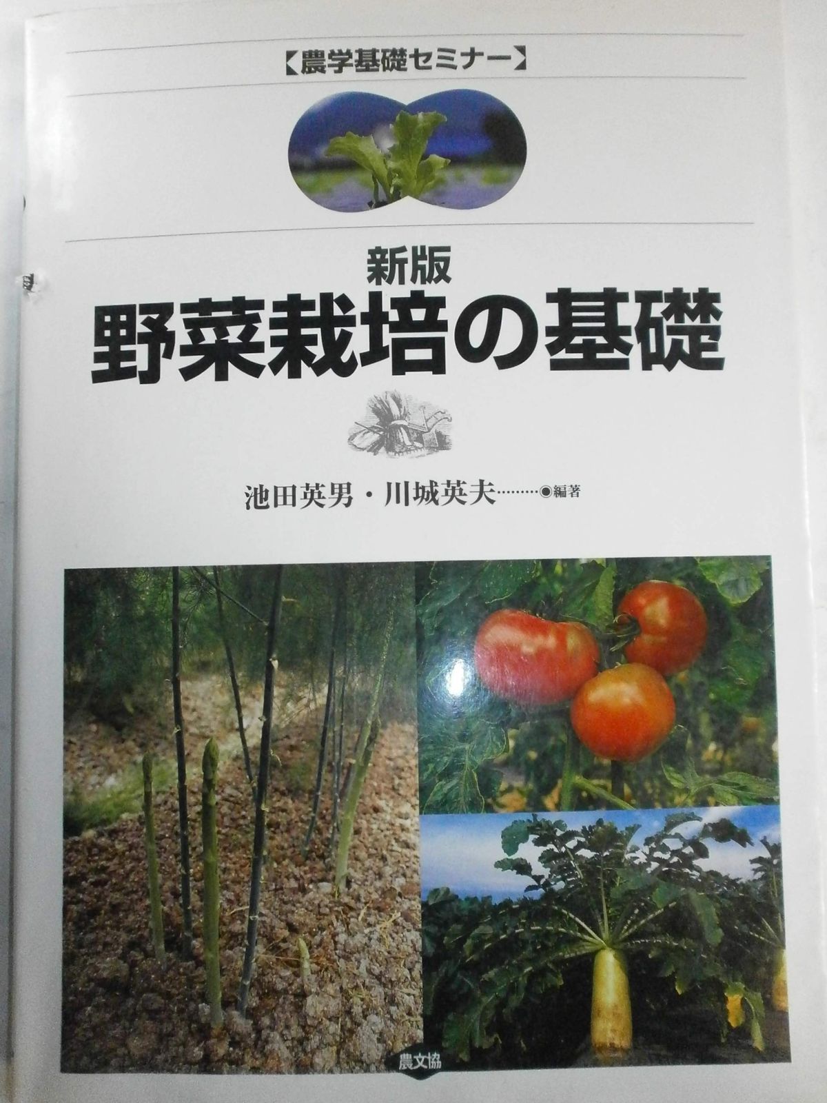 野菜栽培の基礎 (農学基礎セミナー)