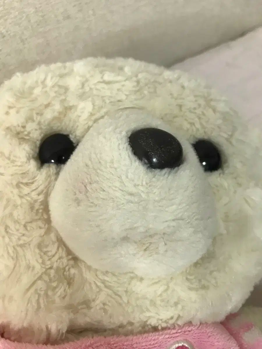 ベア