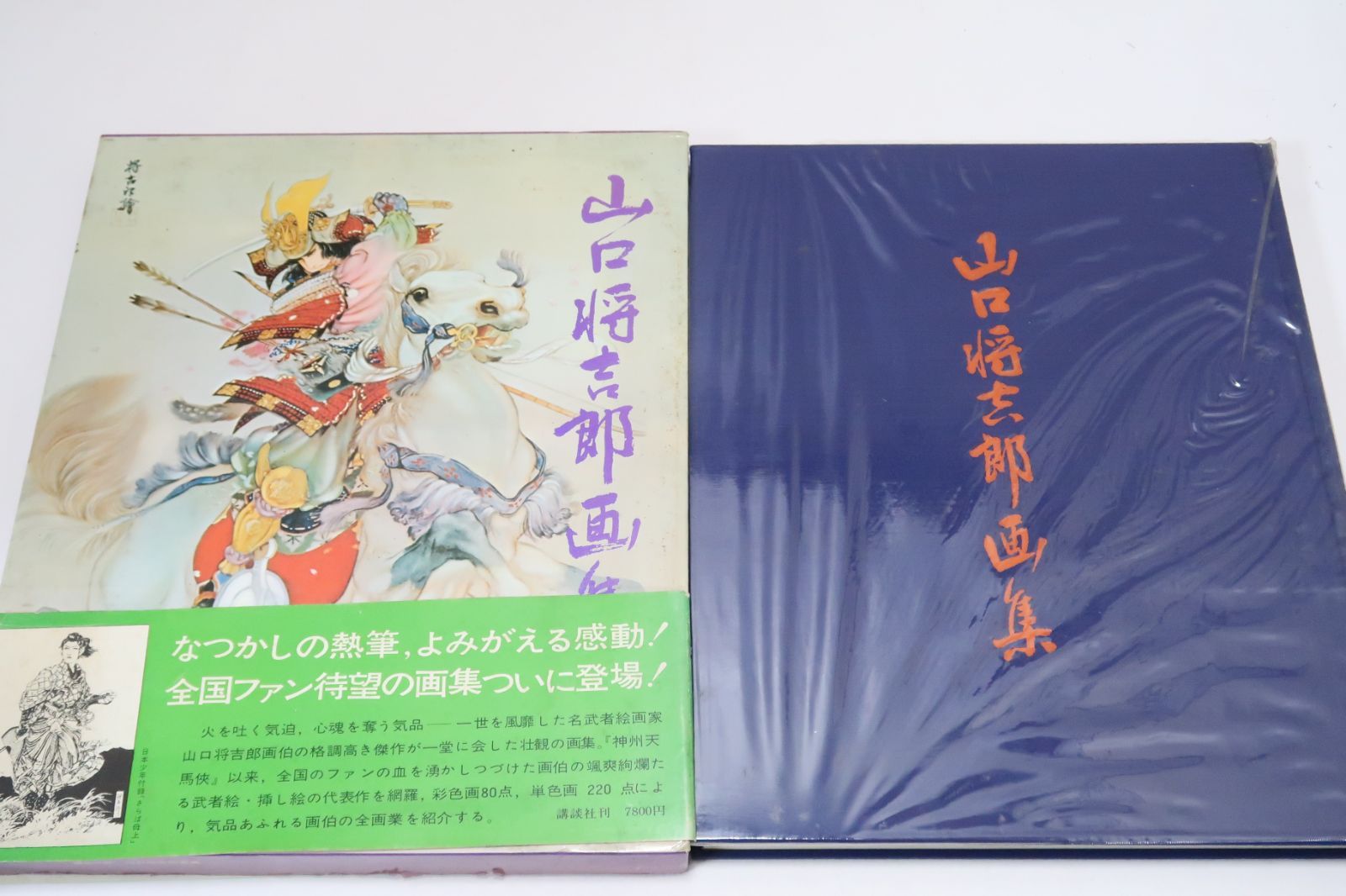 山口将吉郎画集 山口将吉郎名画集 躍動する騎馬武者の世界(山口将吉郎) / 紅葉堂