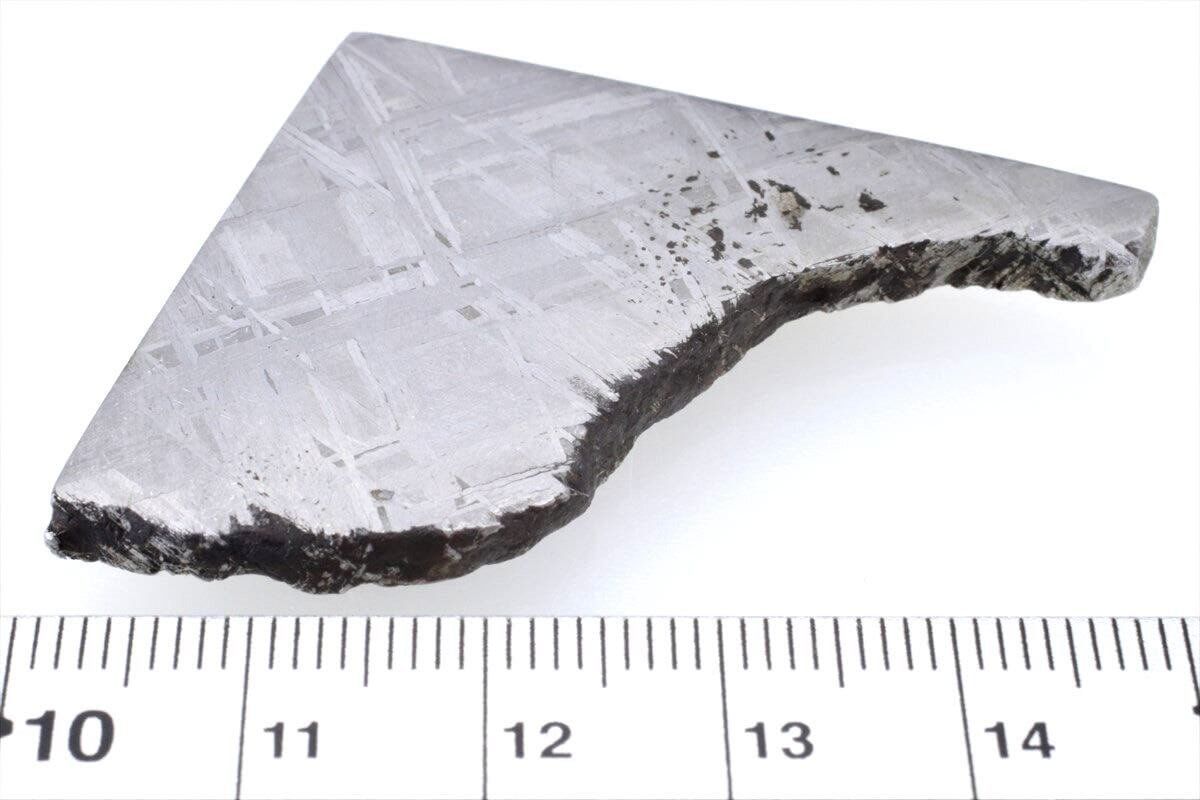 ムオニナルスタ ムオニオナルスタ 27g スライス カット 標本 隕石 
