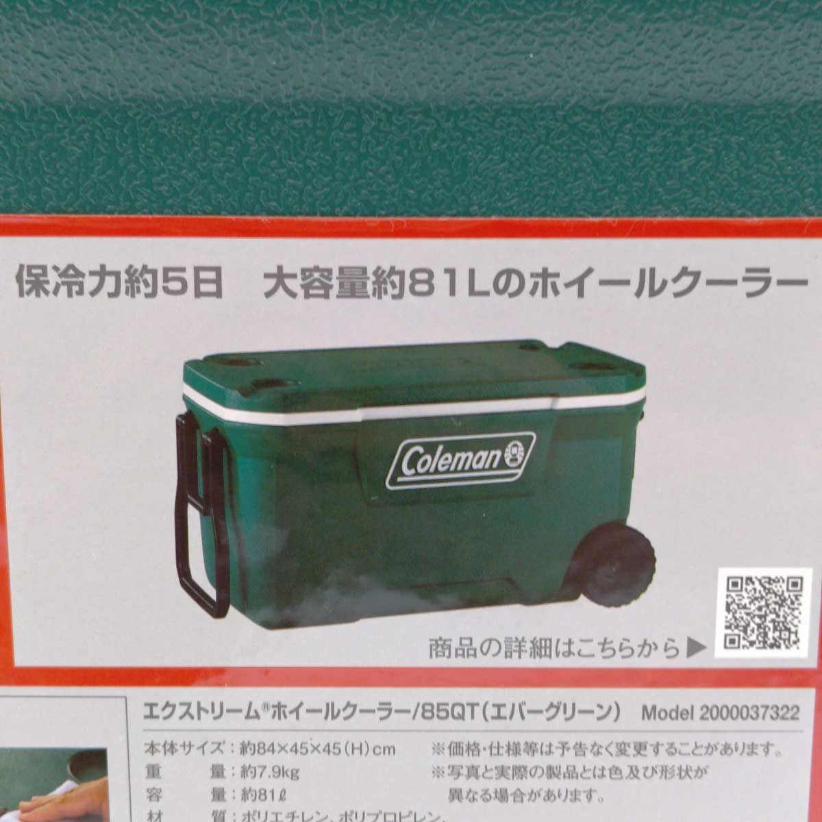 エバーグリーン
