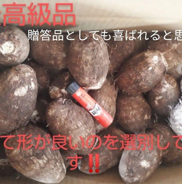 大和里芋 A品 スーパーに並ばない大きくて丸い孫芋 19キロ箱込み土つき