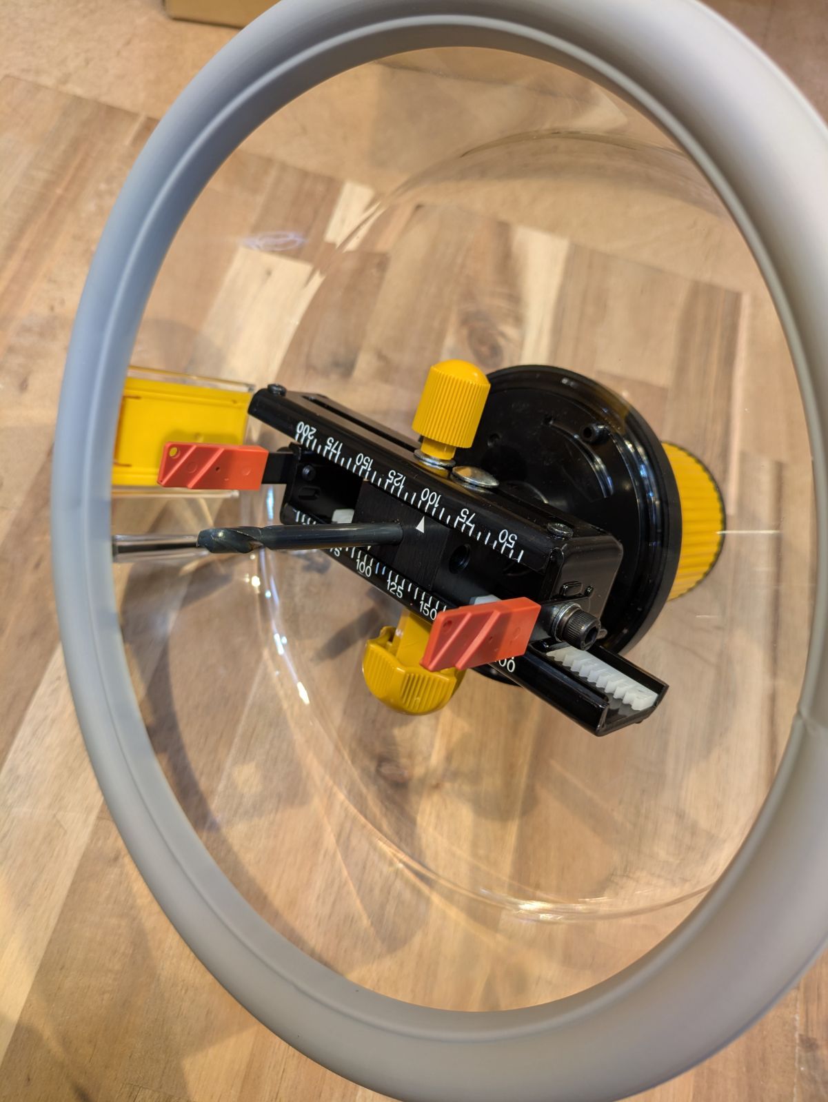 5 フリーホルソー