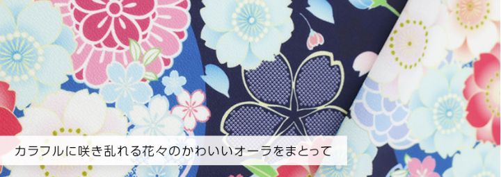 HAKAST18-B4 着付け簡単袴セット