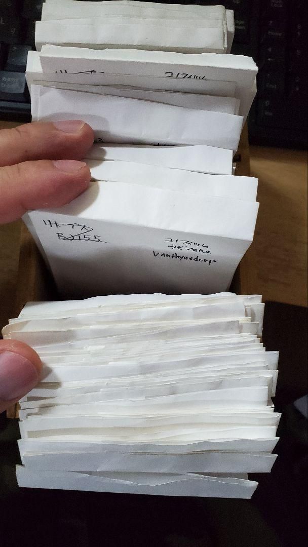 コノフィツム　おまかせ種子20種類　10粒ずつセット コノフィツム おまかせ種子20種類 10粒ずつセット