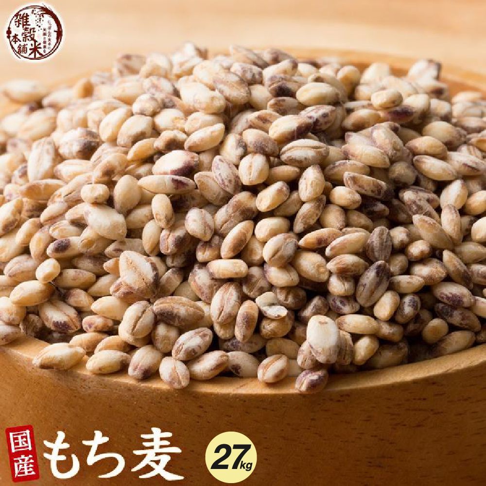 【雑穀米本舗】雑穀 雑穀米 国産 もち麦 27kg(450g×60袋)