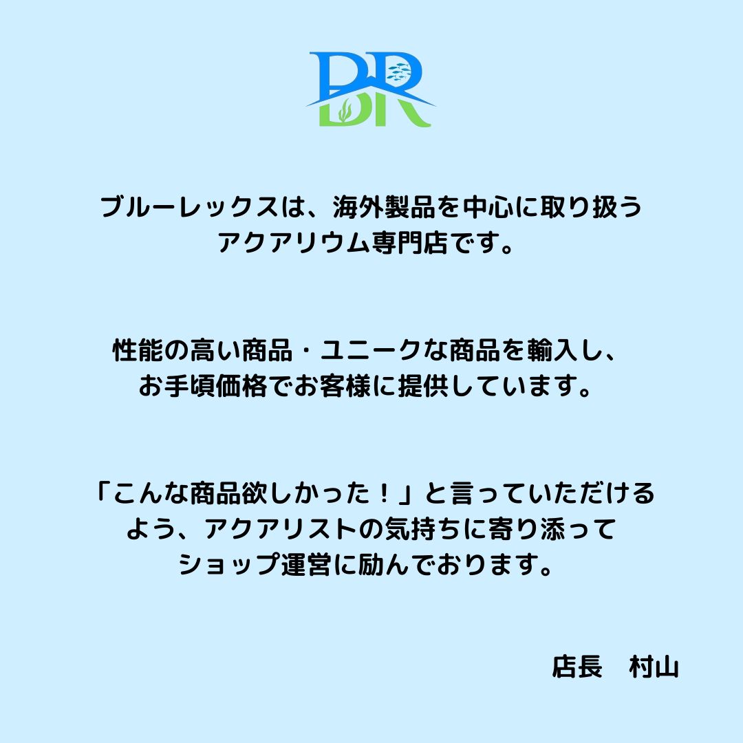 ブルーレックス】水槽 スポンジフィルター 小型 投げ込み式 メダカ