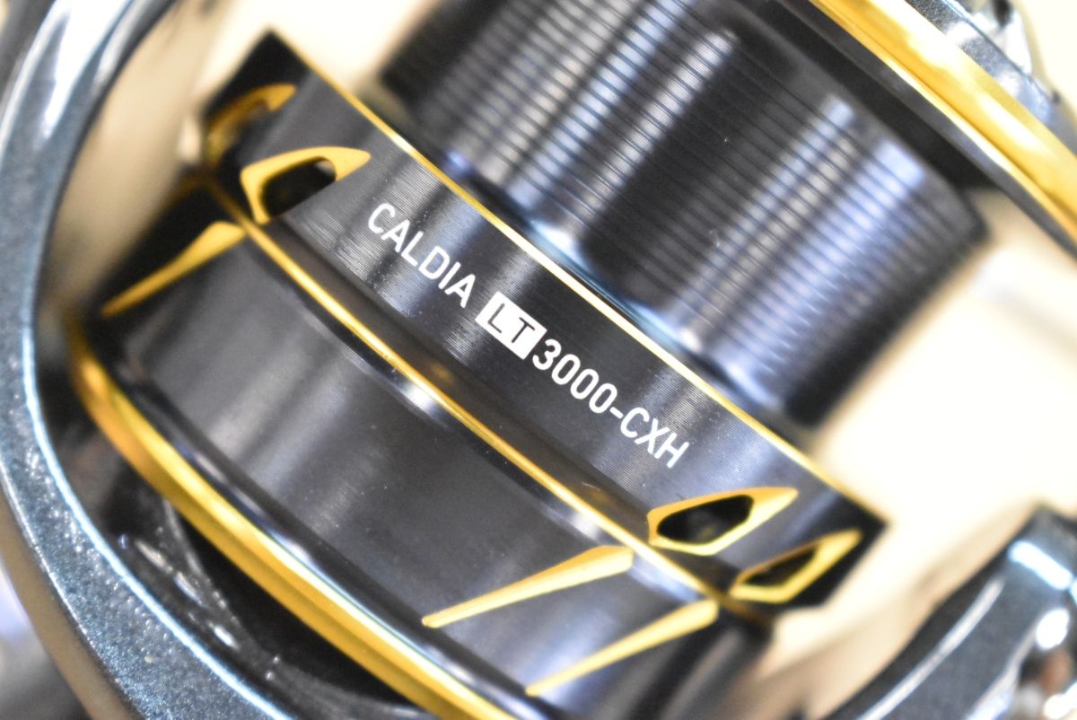 ダイワ 21 カルディア LT3000-CXH DAIWA CALDIA スピニングリール シーバス エギング 根魚 等
