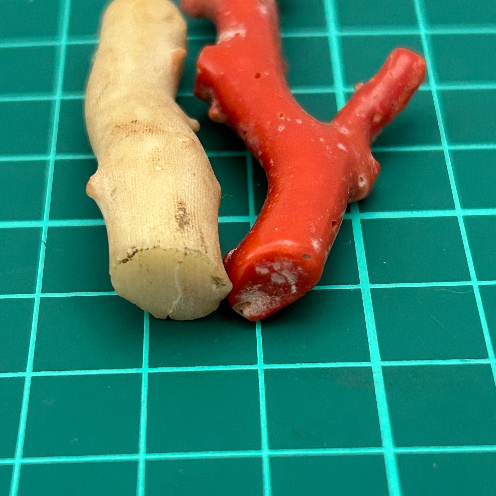 白珊瑚と血赤珊瑚 原木 血赤珊瑚 白サンゴ(桃色サンゴ) 原木 2