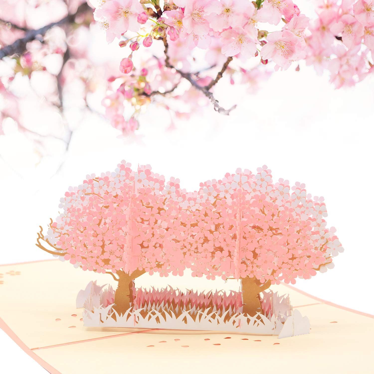 ポップアップカード 封筒付き