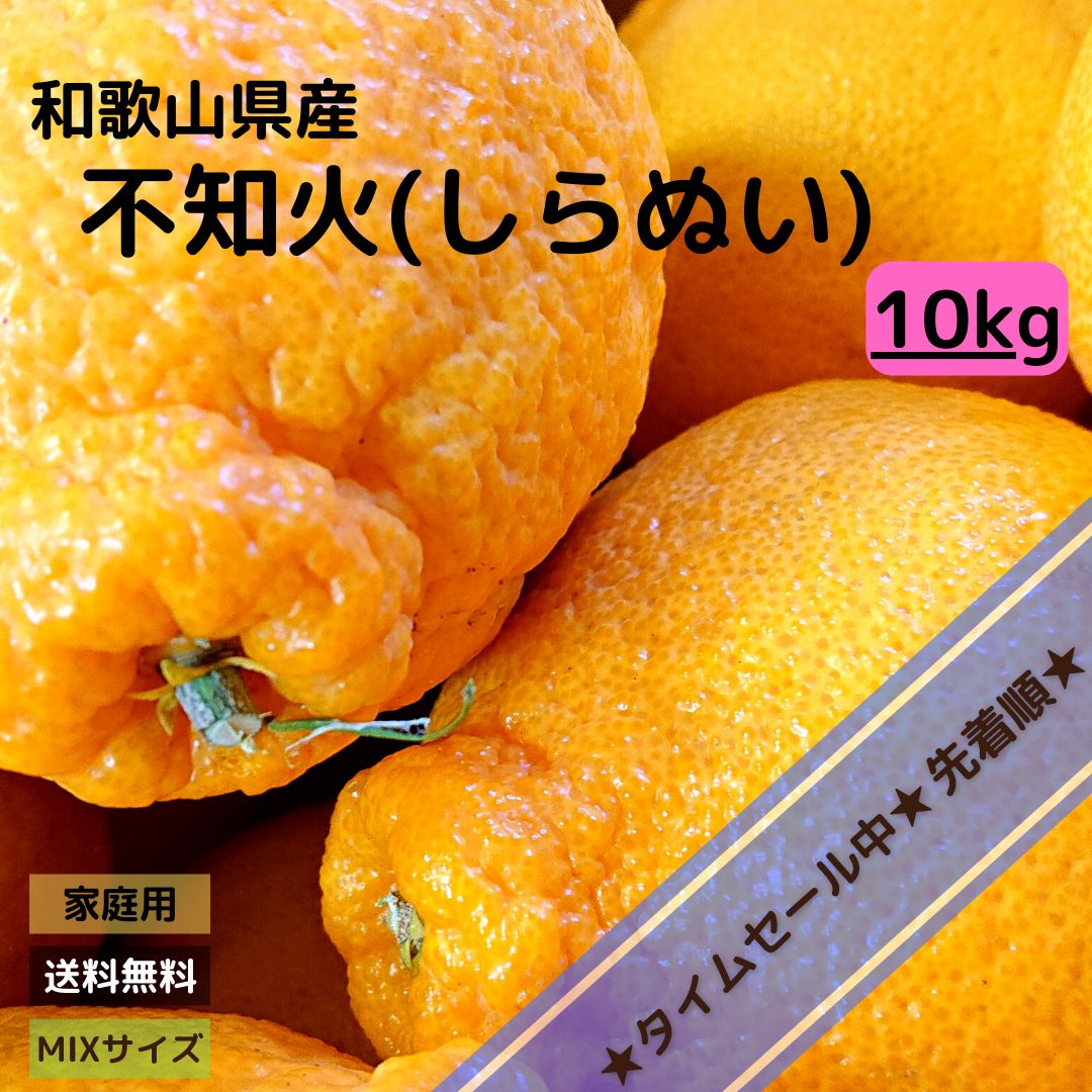 和歌山産不知火 10Kg - 果物