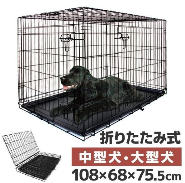 小型犬