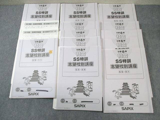 VW02-015 SAPIX 小6 サピックス SS特訓 社会 【全14回フルセット】 2022  035M2D