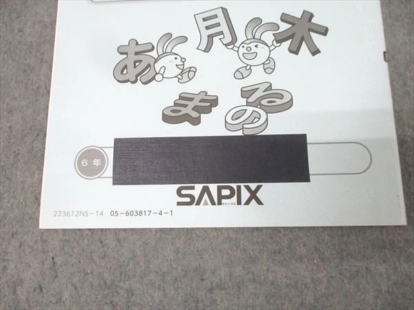 SAPIX 小学6年 国語 夏期講習 サマーサピックス N62-01～18 計18