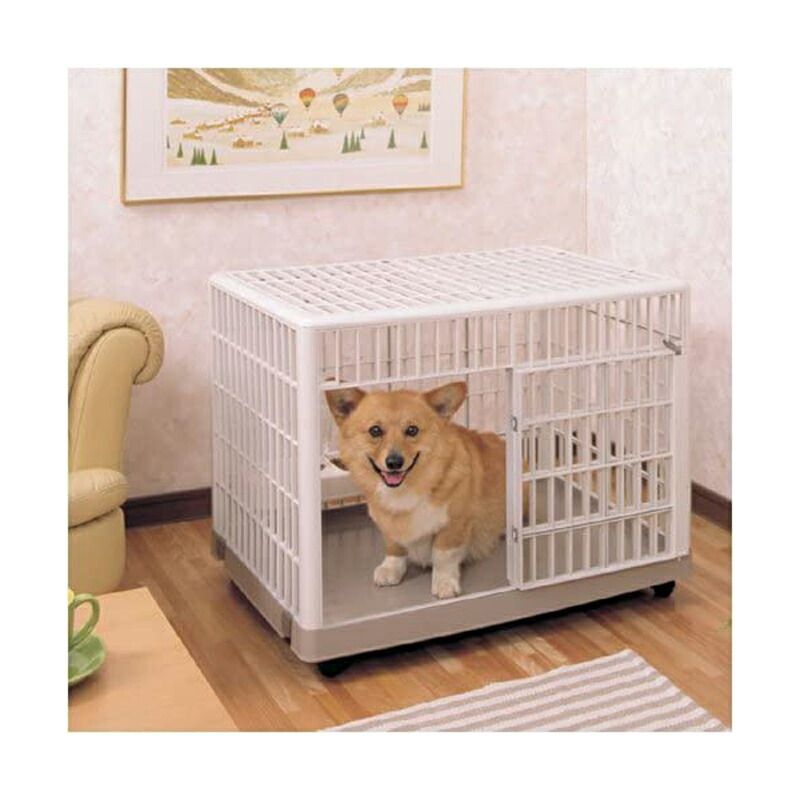 ベージュ
