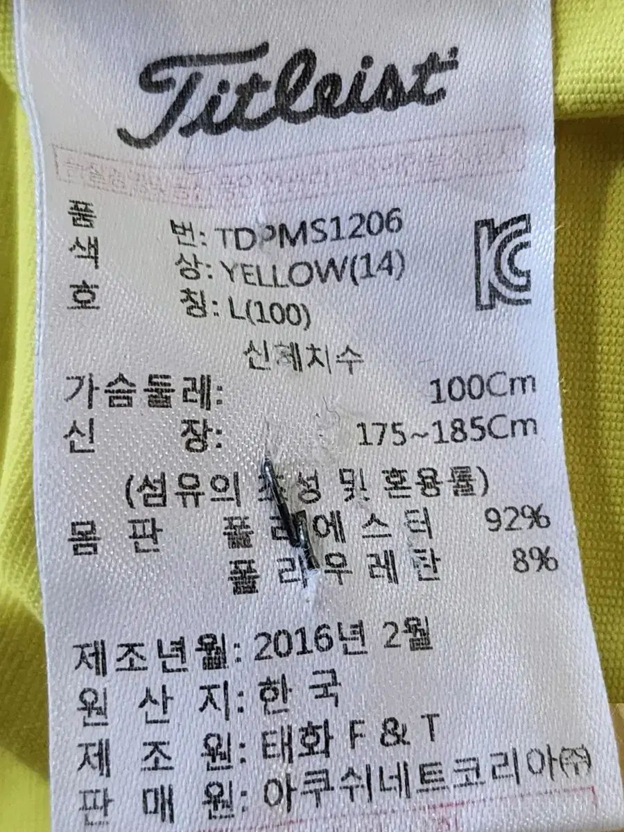 襟付きTシャツ