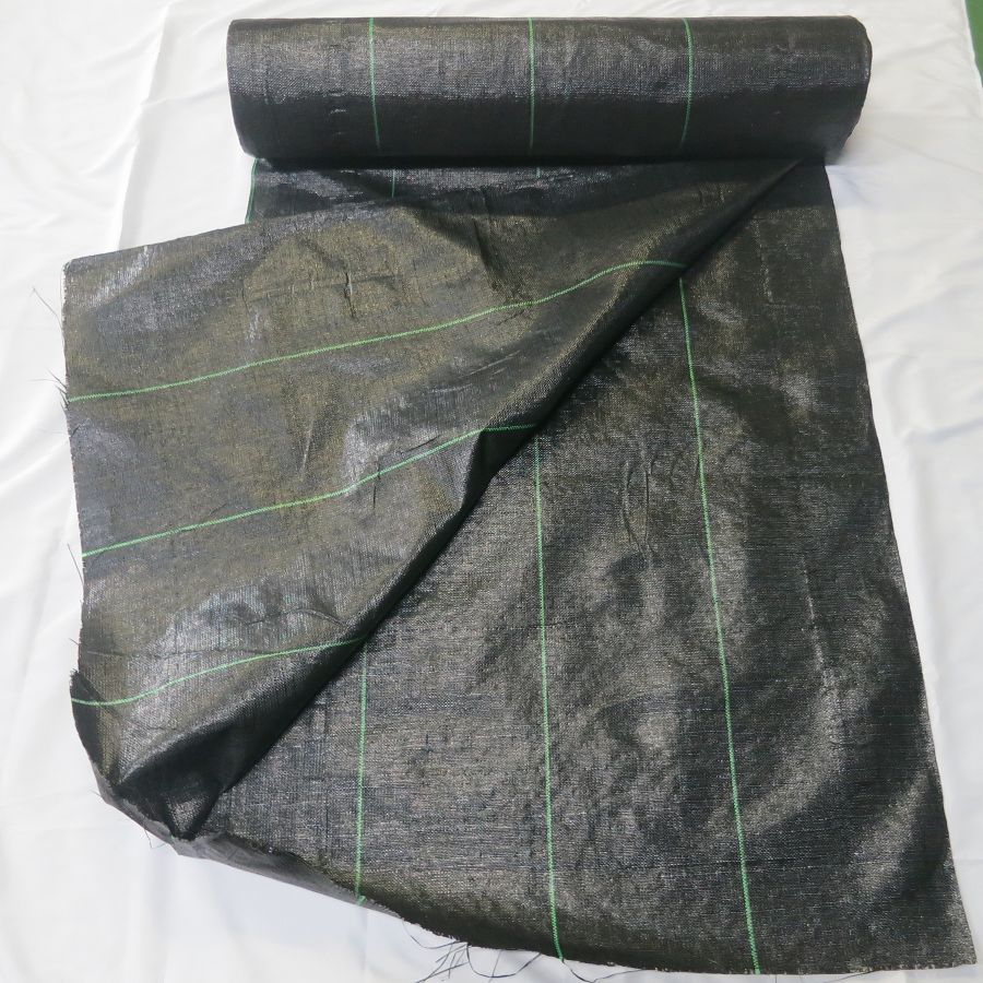 2m×50m