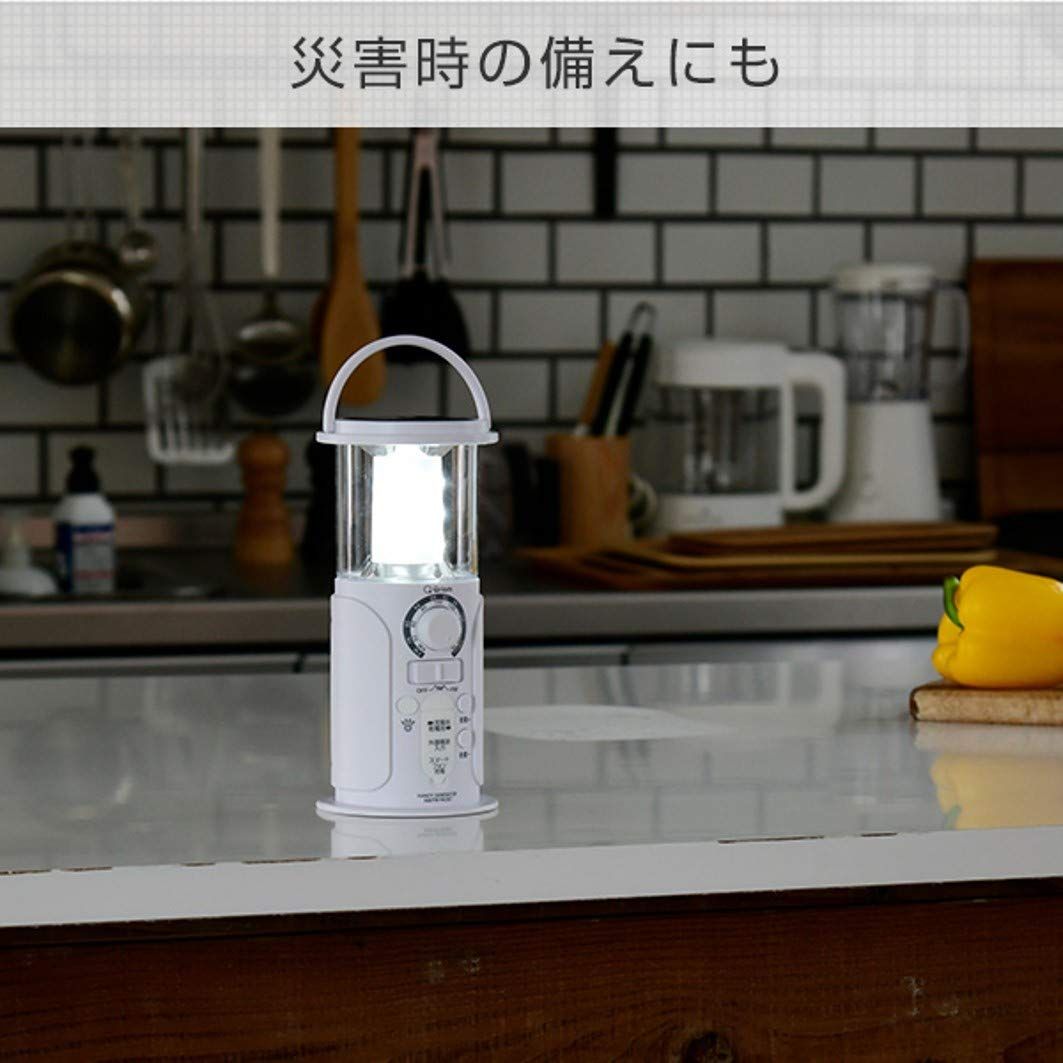 W 単品