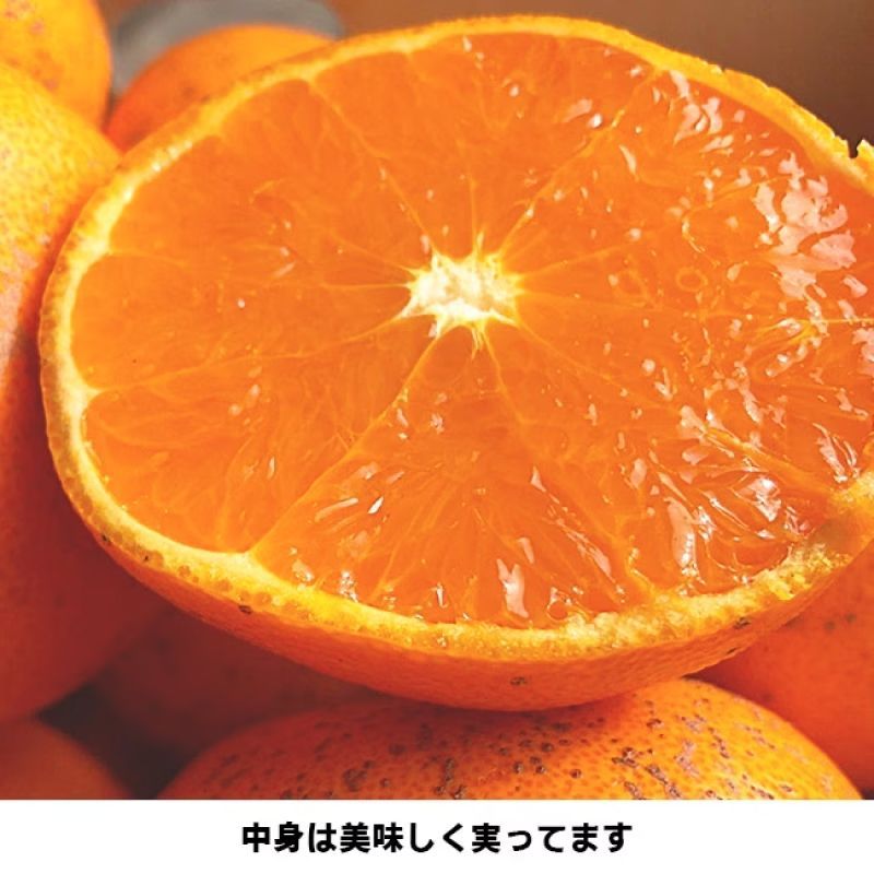みかん 愛媛産 特に訳あり せとか 箱込2.0kg（外皮の傷・シミ多め）（2月中旬～ご注文順に順次発送）※沖縄・離島・北海道は発送不可