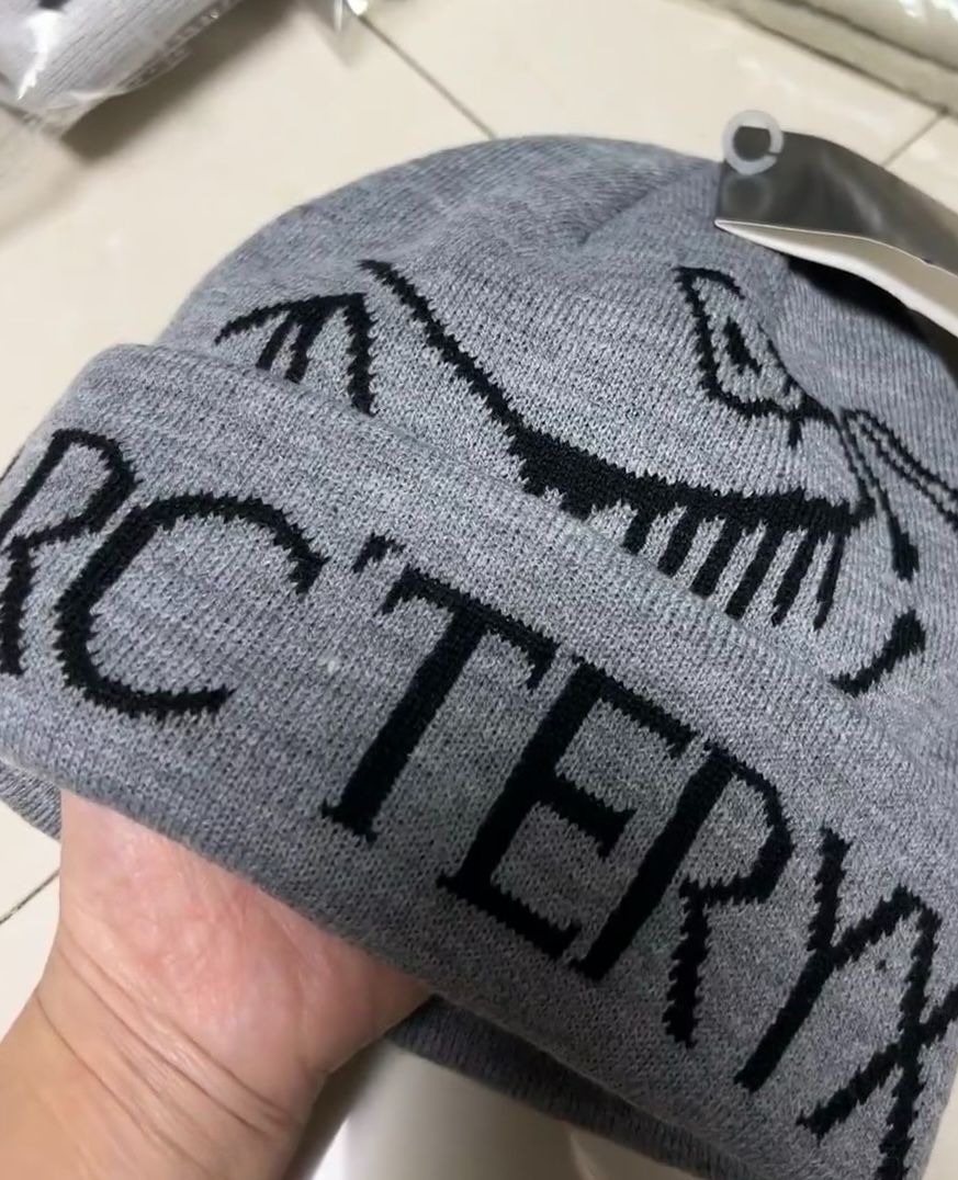 Arc'teryx Bird Word Toque ビーニー 　ニット帽子　グレー