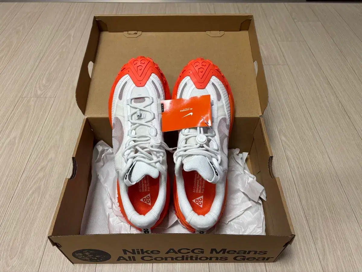 NIKE ナイキ ACG マウンテン フライ 2 ロー 登山靴 トレッキングシューズ