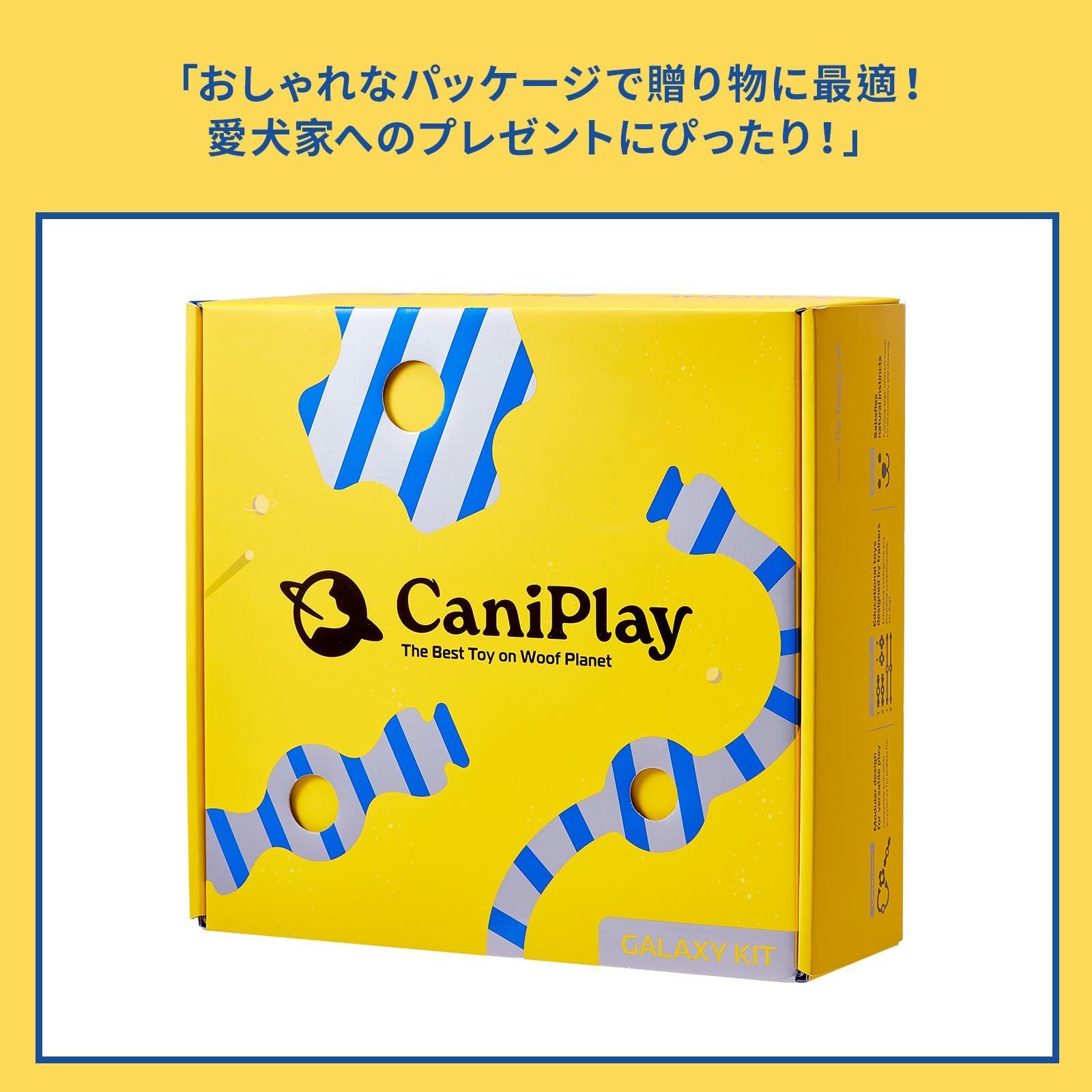 BPAフリー 犬